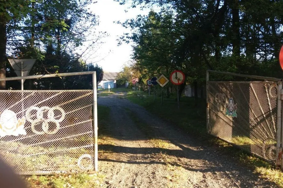 НЗОГ Сторожинецька АШ ТСОУ — фото 4